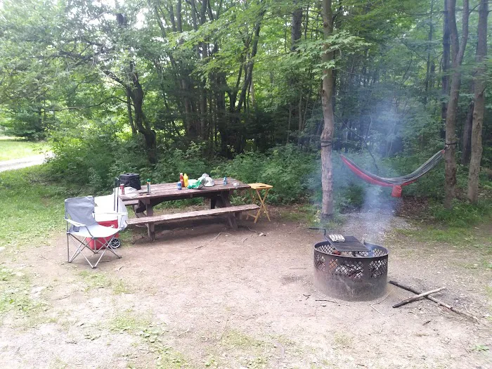 Grout Pond Campsites Picture 7