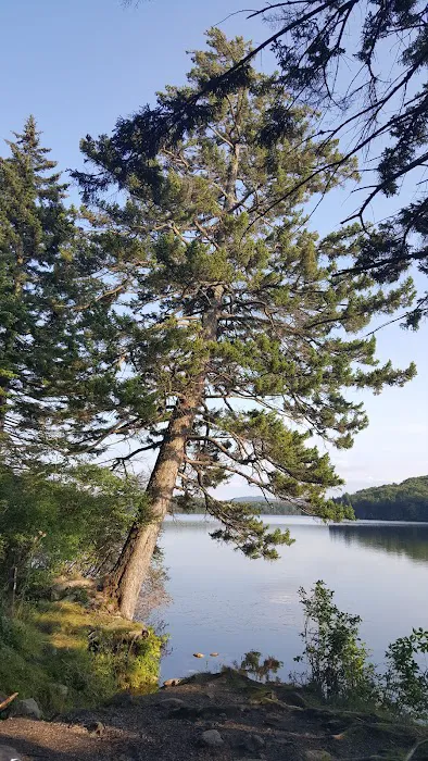 Grout Pond Recreation Area Picture 5
