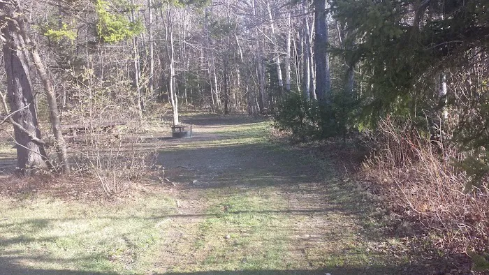 Grout Pond Recreation Area Picture 9