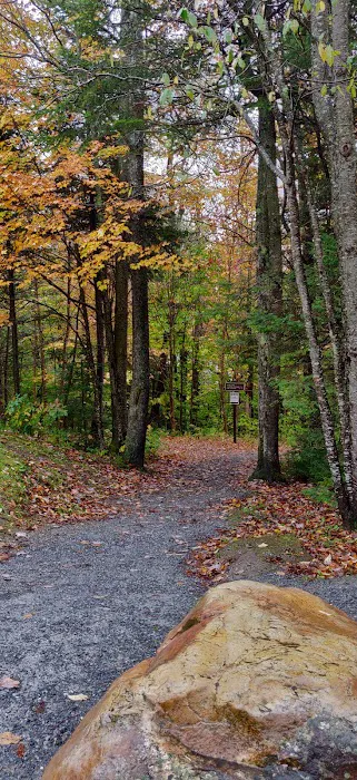 Grout Pond Recreation Area Picture 1