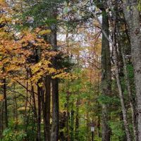 Grout Pond Recreation Area ico
