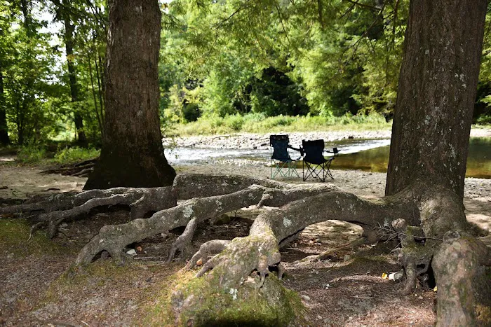 Camping On The Battenkill Picture 4