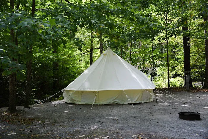 Camping On The Battenkill Picture 3
