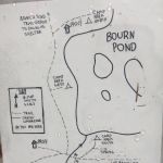 Bourne Pond Tenting Area