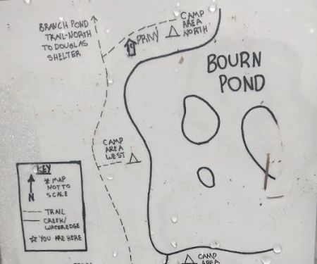 Bourne Pond Tenting Area