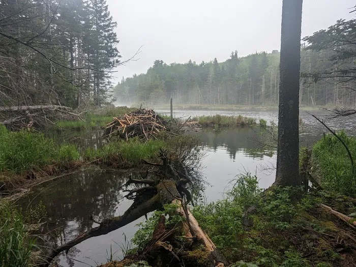 Stratton Pond Tenting Area Picture 1