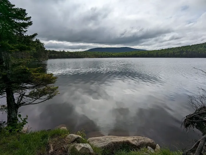 Stratton Pond Tenting Area Picture 5