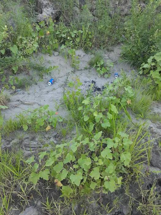 Mitch's Island Picture 3