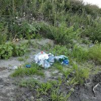 Mitch's Island ico