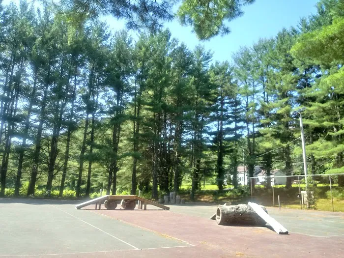 Sun Valley Beach Club Picture 8