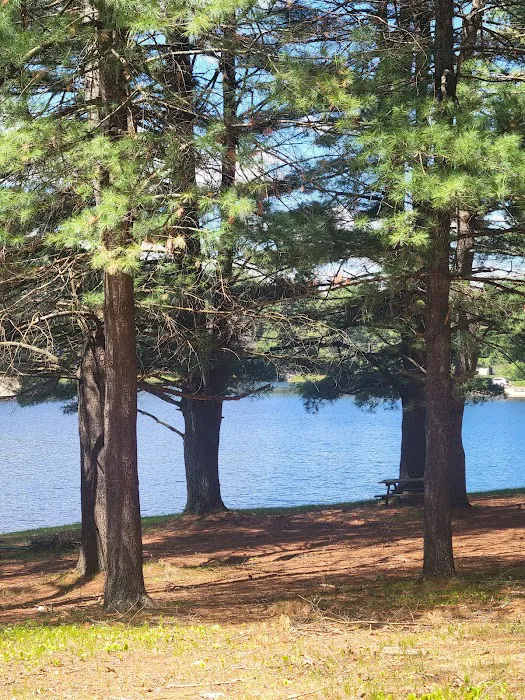 Sun Valley Beach Club Picture 4