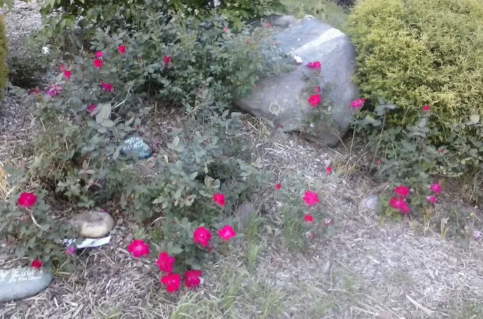 Sun Valley Beach Club Picture 5