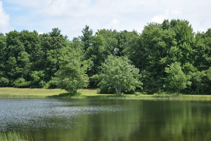 The Quarry Campground Picture 3