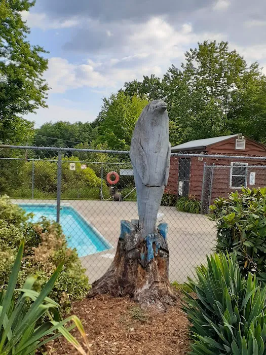 Sunsetview Farm Camping Area Picture 4