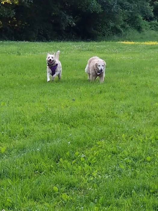 Sunsetview Farm Camping Area Picture 5