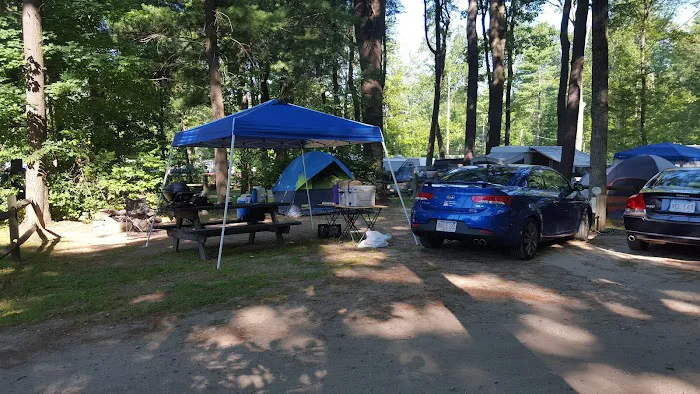 Sunsetview Farm Camping Area Picture 3