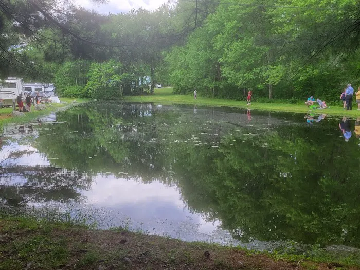 Mineral Springs Family Campground Picture 8