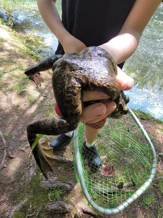 Mineral Springs Family Campground Picture 7