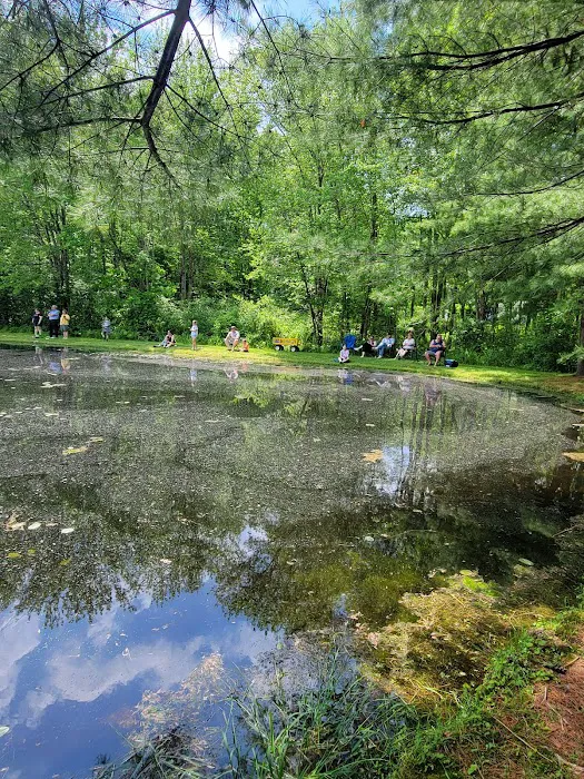 Mineral Springs Family Campground Picture 2