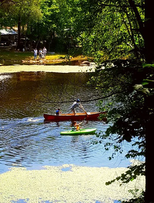 Wilderness Lake Campground & Resort Picture 2