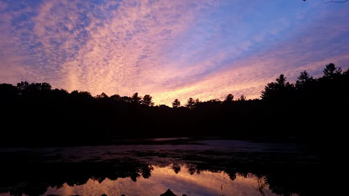 Wilderness Lake Campground & Resort Picture 4