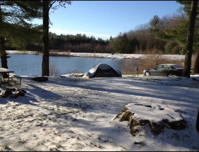 Wilderness Lake Campground & Resort Picture 7