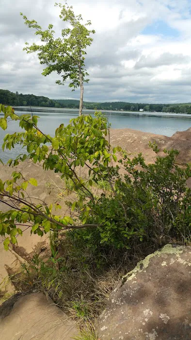 Barton Cove Campground and Canoe Rental Picture 3