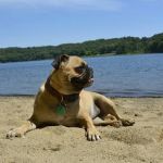 Barton Cove Campground and Canoe Rental