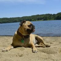 Barton Cove Campground and Canoe Rental ico