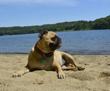 Barton Cove Campground and Canoe Rental