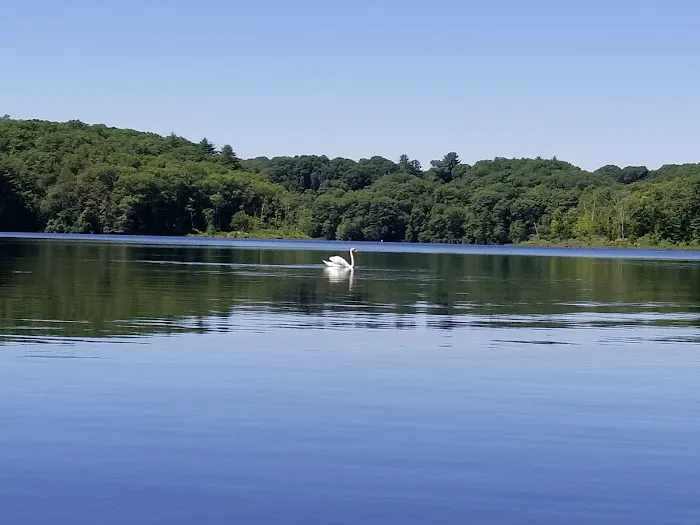 Barton Cove Campground and Canoe Rental Picture 2