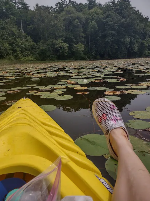 Barton Cove Campground and Canoe Rental Picture 10