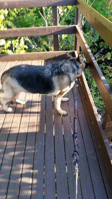 Barton Cove Campground and Canoe Rental Picture 8