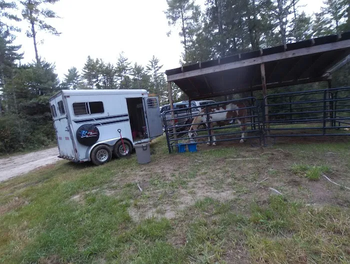 The Wagon Wheel Campground Picture 9