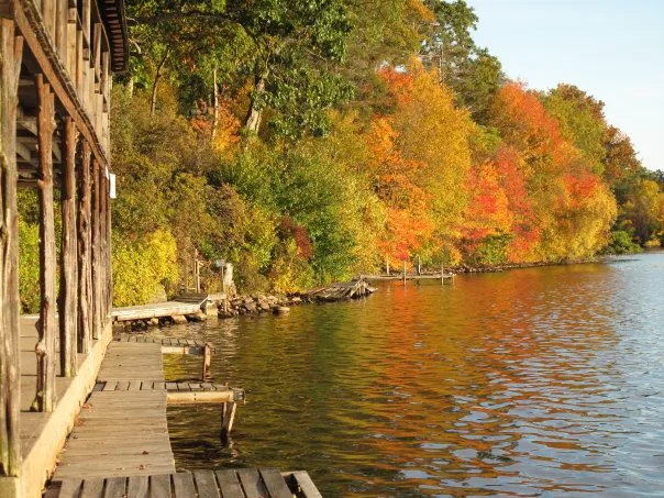 Pequot Ledge Campground Picture 7