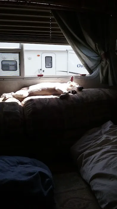 Cliff and Ed's Campground Picture 4