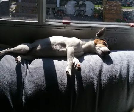 Cliff and Ed's Campground