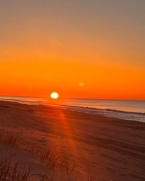 Hither Hills State Park Campsite Picture 3
