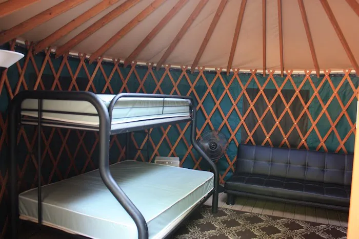 Odetah Camping Resort Picture 8