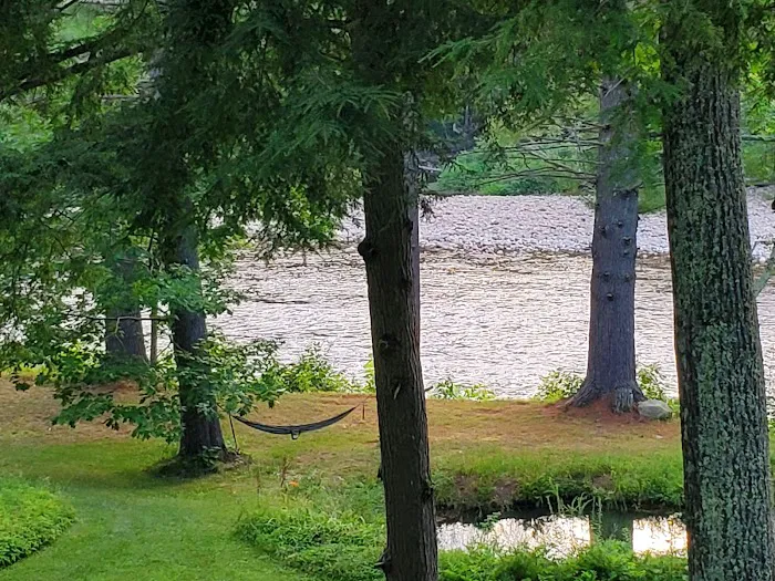 The Cabins at 29 Pines Picture 1