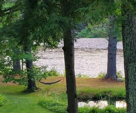 The Cabins at 29 Pines