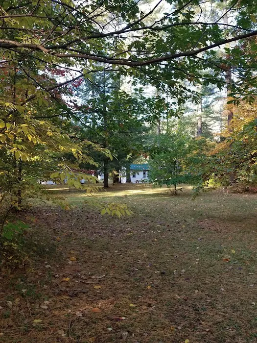 The Cabins at 29 Pines Picture 8