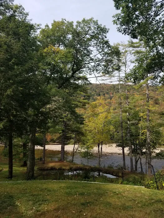 The Cabins at 29 Pines Picture 6