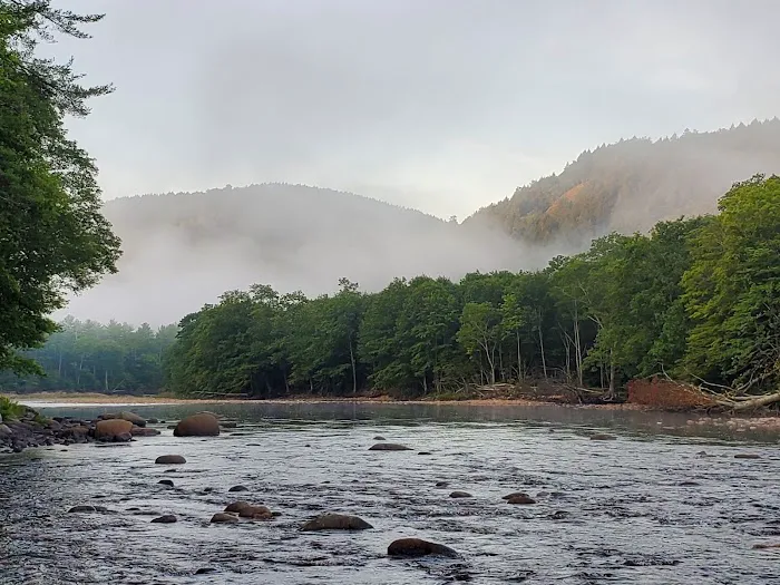 The Cabins at 29 Pines Picture 4