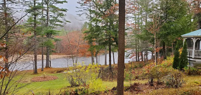 The Cabins at 29 Pines Picture 9