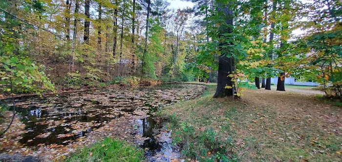 The Cabins at 29 Pines Picture 5