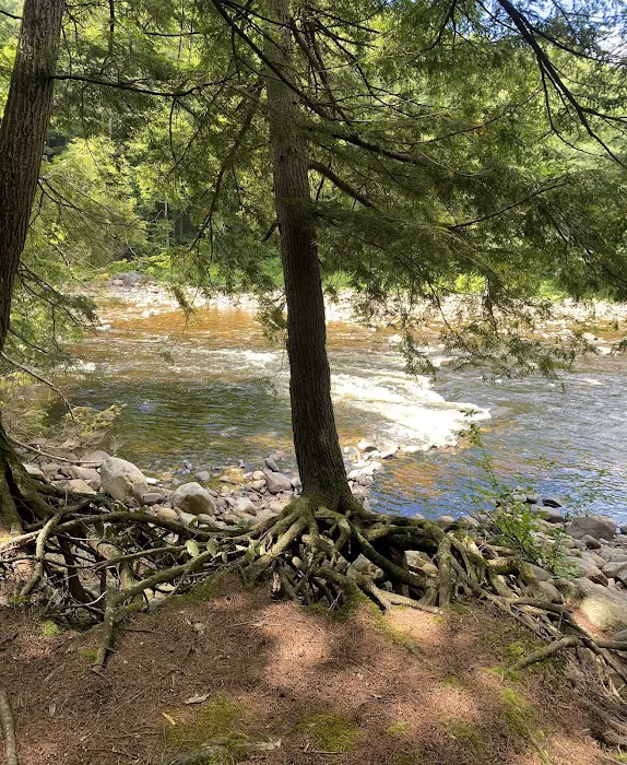 Sacandaga Campground Picture 7