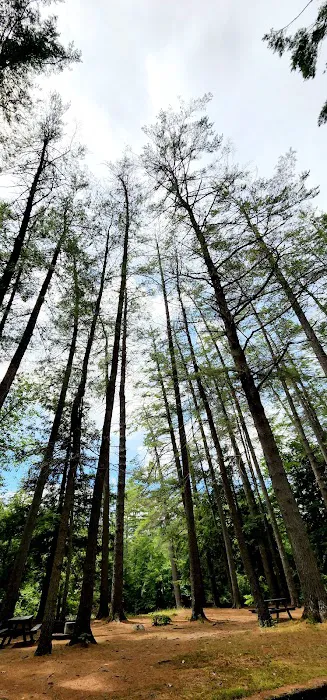 Sacandaga Campground Picture 3