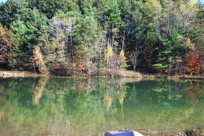 Rustic Barn Campground Picture 8