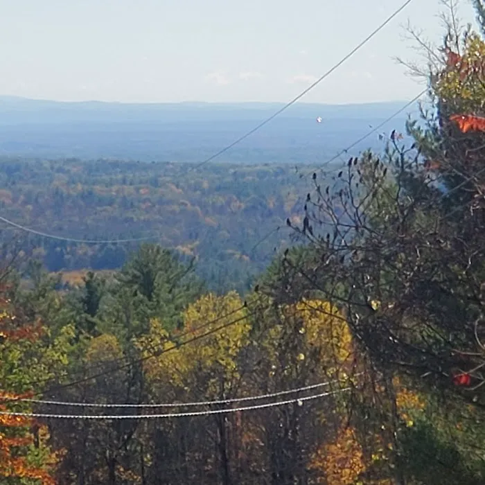 Stewarts Pond Campsites Picture 10